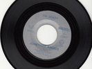 JUNKYARD ANGELS *I'M READY* 1966 US  GARAGE/BLUES ROCKER WILLIE DIXON COVER
