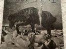 Blood Axis - The Gospel Of Inhumanity Vinyl 2013 Storm Records STRM-14 Near Mint