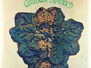 Ultimate Spinach - S/T (1968) LP - MGM Mono SEALED