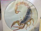 Scorpions Big City Nights 12HARP5231 12