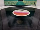 Mike Oldfield CRISES Rare LP Vinyl Rodven Venezuela 1983