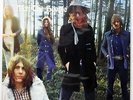 MOTT THE HOOPLE WILDLIFE ISLAND ICL33 JAPAN VINYL LP