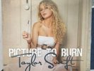 Taylor Swift Picture to Burn 7” Gray Vinyl LP Single Numbered 2813NEW Sealed