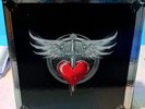 BON JOVI - THE ALBUMS - ALBUM IN STUDIO + RARITA' E B-SIDES IN FORMATO LP 180 GR