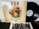 LP, REO Speedwagon, The Earth, A Small Man, His Dog And A Chicken, 1990, OIS, NM