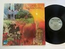 J.K. & CO. LP Suddenly One Summer White Whale Stereo OG Rare Psych Acid Archives