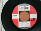 1966  Rare  Royal Guardsmen 45 Record  Squeaky  VS  The Black Knight  Laurie Can