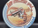 Lynyrd Skynyrd   “ Freebird “  Picture Disc 45. In Great Condition, MCATP 251