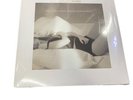 Taylor Swift - The Tortured Poets Department [Ghosted White 2 LP] [New Vinyl LP]