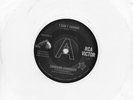LORRAINE CHANDLER   I CAN'T CHANGE    UK RCA/OUTTASIGHT Limited edition   DEMO