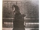 Neil Young After the Gold Rush LP 1970 [Reprise MSK 2283] Gatefold w/Poster