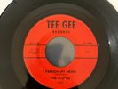 Doo Wop 45 - THE CLUSTERS - Pardon My Heart / Darling Cant You Tell - Tee Gee EX