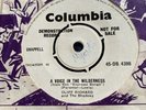 Cliff Richard And The Shadows-Voice In The Wilderness Demo Rare Great Condition
