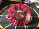 Damned Little Miss Disaster Signed Vanian, Sensible,West,Pinch  No#830/1000 ℹ️