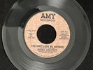 Morris Chestnut - Too Darn Soulful / You Don't Love Me Anymore (Soul, 45) 981
