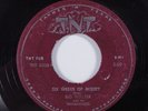 Blues 45 BIG WALTER & HIS THUNDERBIRDS Six Weeks Of Misery TNT HEAR a