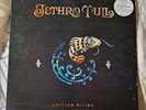 JETHRO TULL CATFISH RISING LP CHRYSALIS DCHR1886 LTD EDITION WITH 12'' SINGLE NM