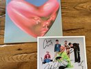 Fontaines D.C. Romance LIMITED PINK VINYL + Exclusive Signed Print