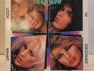 Poison Look What The Cat Dragged In LP 1986 Enigma Glam Rock Vinyl R 144402 EMI