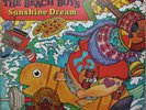 Beach Boys - Sunshine Dream - Used Vinyl Record - B34z