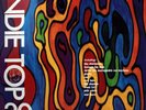 Various - Indie Top 20 Volume XI - Used Vinyl Record - F34z