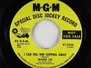 Northern Soul 45 - Mamie Lee - I Can Feel Him Slipping Away - MGM - VG+