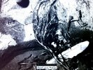 David Sylvian - Secrets Of The Beehive LP (VG+/VG+) '