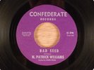 N. Patrick Williams w Inner Prism Bad Seed/Someday Tomorrow RARE  Garage