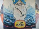 Steve Hillage Fish Rising VI 2031 Vinyl LP - Virgin Records