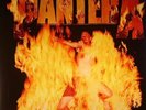 PANTERA - Reinventing The Steel - Vinyl (gatefold 180 gram vinyl LP)