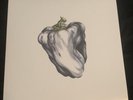 Ween - White Pepper White colored vinyl (2009 Plain Pressing)