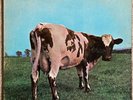 PINK FLOYD - ATOM HEART MOTHER | VINYL LP ALBUM rare SCRANTON PRESSING 1970 G+