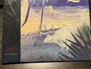 ZZ Top Tejas Rhino High Fidelity AAA 180 Gram Vinyl RHF1 3372