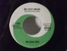 The Beach Boys,Cap.Starline 6060,