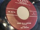 THE ANNUALS hungry once in a lifetime CONN RECORDS 7