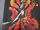 METALLICA and SAN FRANCISCO SYMPHONY ORCHESTRA 
