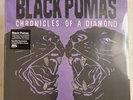 BLACK PUMAS – CHRONICLES OF A DIAMOND - SPOTIFY EXCLUSIVE LTD ED VINYL LP NEW 11