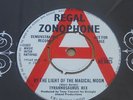 T / TYRANNOSAURUS REX - By The Light Of The Magical Moon  - 1970 Regal UK DEMO