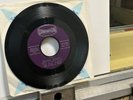SHUT DOWNS-BEACH BUGGY/FOUR IN THE FLOOR/SURF ROCK SOUND/1963/ MINT- VINYL