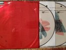 Alice in Chains The Devil Put Dinosaurs Here limited edition 2x picture disc