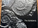 THE SUNDAYS  -  READING, WRITING & ARITHMETIC 1990 UK  PICTURE  DISC ROUGH TRADE