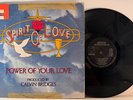 SPIRIT OF LOVE of Chicago - the Power of Your Love (LP, 1978) Gospel Funk HEAR