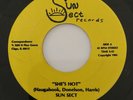 SUN SECT She's Hot SUN SECT 45 RARE MODERN SOUL BOOGIE FUNK
