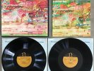 NONESUCH GUIDE TO ELECTRONIC MUSIC BEAVER KRAUSE 70s 2LP BOX SET RE BOOKLET MOOG