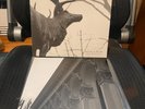 Agalloch – The Mantle 2 x LP  Clear Vinyl NM/EX Grau Records ONLY PLAYED ONCE