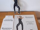 Madonna Crazy For You Shaped Picture Disc Vinyl
