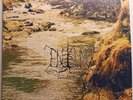 Enisum Samoht Nara GOLD / BROWN MARBLE VINYL, 180G, LTD ED. POSTER Vinyl LP