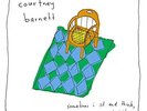 Courtney Barnett Sometimes I Sit And Think, And Sometimes I Just Sit Vinyl LP