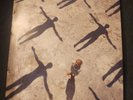 Muse Absolution (2 Lp's) Records Warner Brothers 48733-1 Excellent Condition