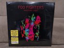 Foo Fighters Wasting Light 2011 2xLP Double Album Vinyl Record